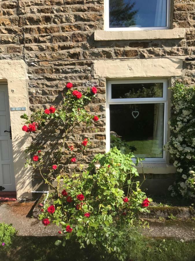 Mayfield Cottage Burtree Ford Екстер'єр фото